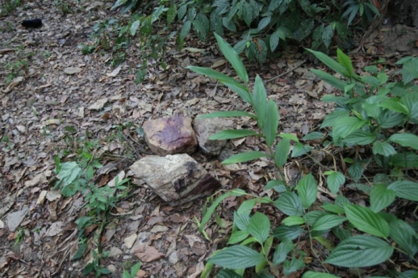 Corpo de criança continua no IML