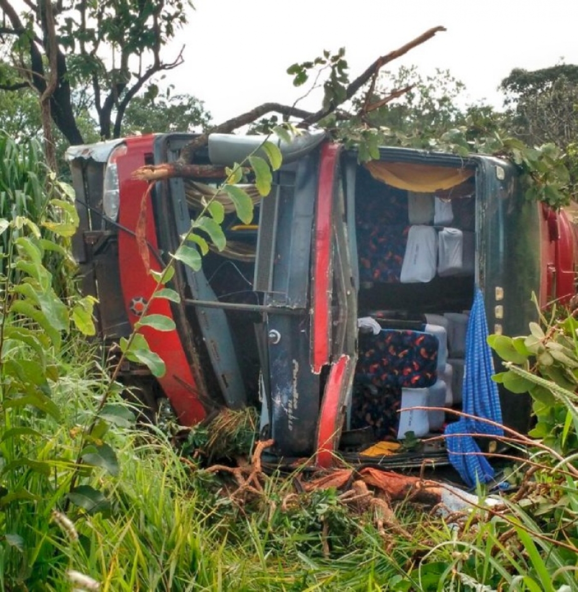 Ônibus sai da pista e tomba na BR-364