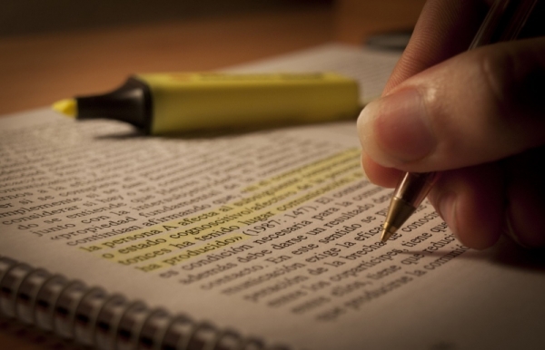 Concursos em Goiás | Inscrições para 300 vagas começam nesta segunda-feira