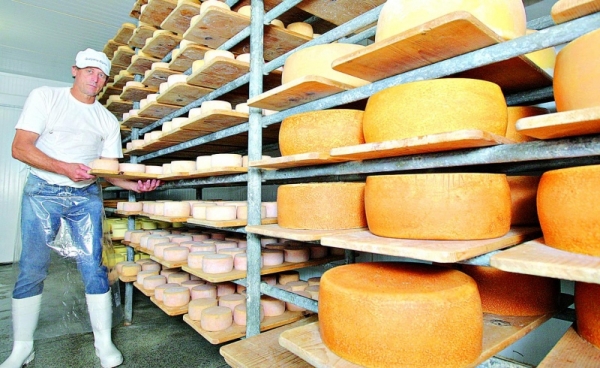 Queijo europeu produzido no Cerrado