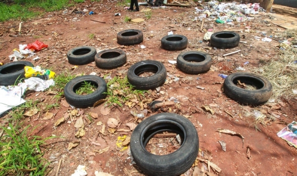 Hotéis 5 estrelas para mosquito