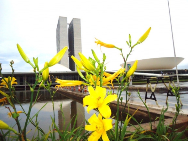 Congresso promulga hoje emenda que abre janela para troca de partidos