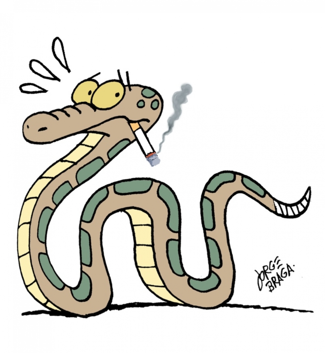 Opinião  Jorge Braga  Opopular