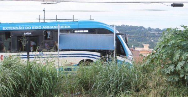 Motorista: profissão perigo