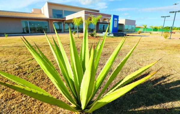 OS recebeu 5 milhões para Credeq parado