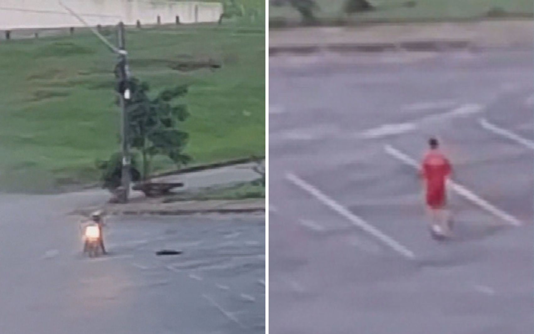 Bombeiro suspeito de matar cachorro a tiro é afastado, diz assessoria